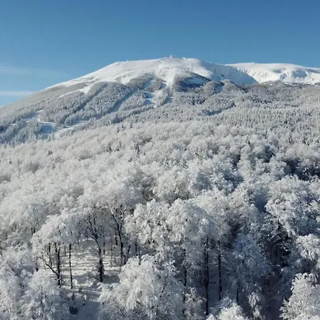 شقة Nature بيلاسنيكا