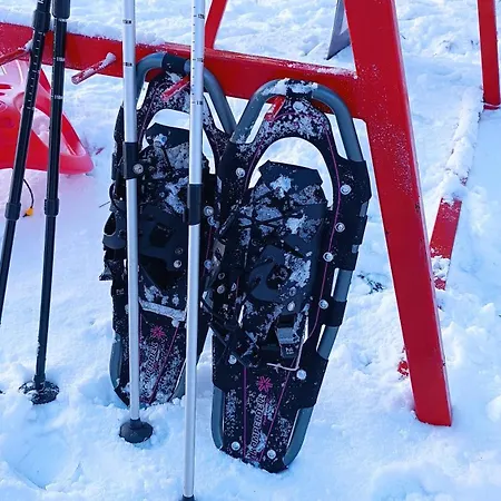 Nature بيلاسنيكا